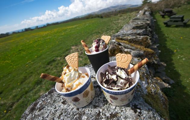 Cream o' Galloway ice cream sundaes